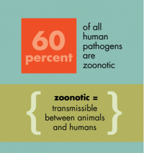 Zoonotic pathogens make up a majority of all human diseases